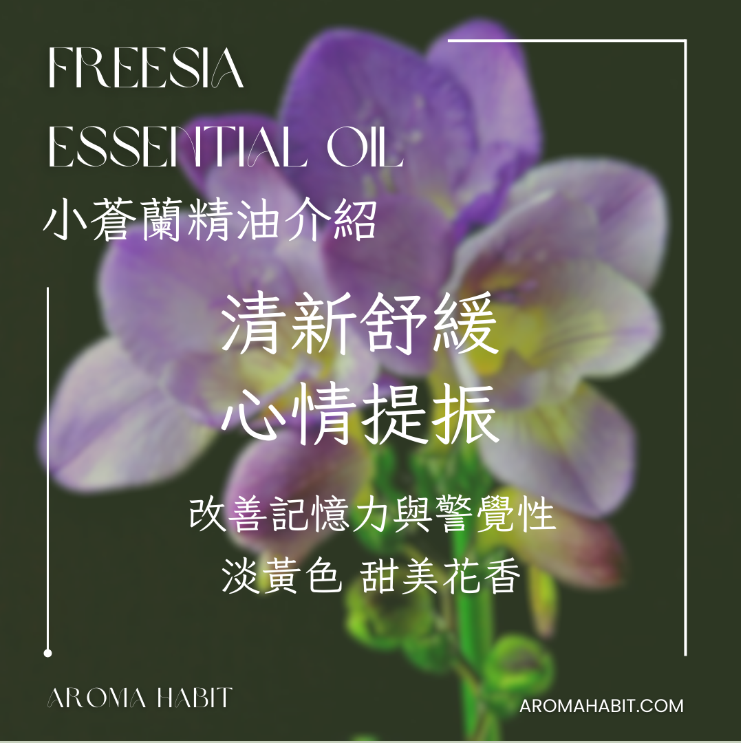 100%純天然香薰精油 Essential Oil - 小蒼蘭精油:圖片 3