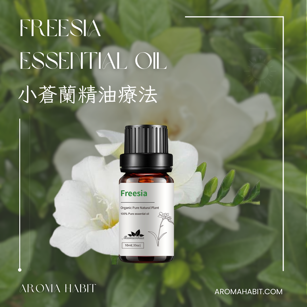 100%純天然香薰精油 Essential Oil - 小蒼蘭精油:圖片 2