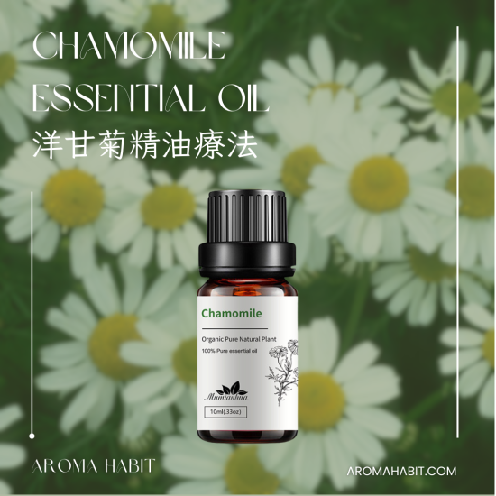 Alternative view of 100%純天然香薰精油 Essential Oil - 洋甘菊精油