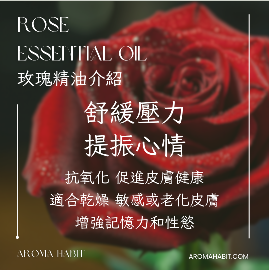 100%純天然香薰精油 Essential Oil - 玫瑰精油:圖片 3