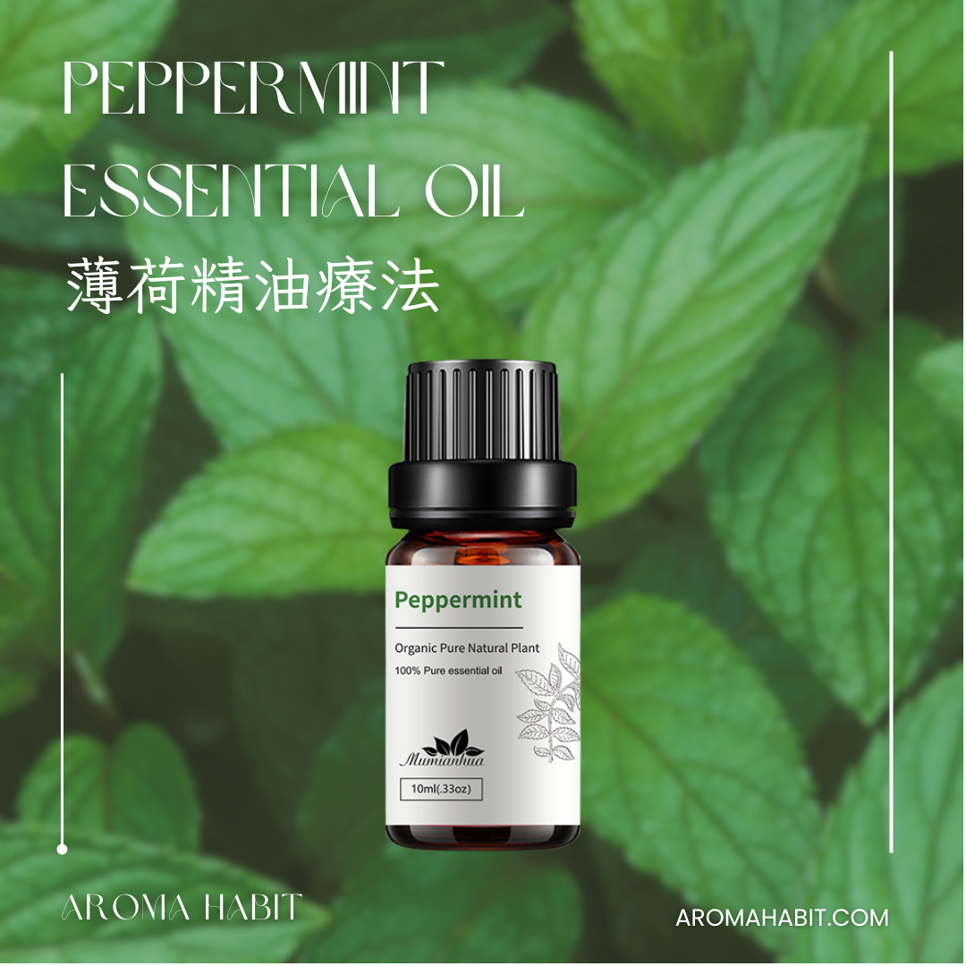 100%純天然香薰精油 Essential Oil - 薄荷精油:圖片 2