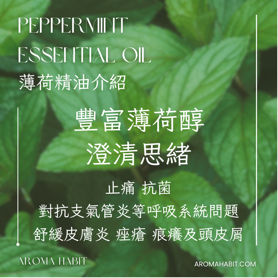 100%純天然香薰精油 Essential Oil - 薄荷精油:圖片 3
